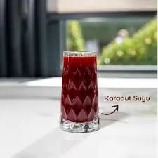 KARADUT LİMONATA